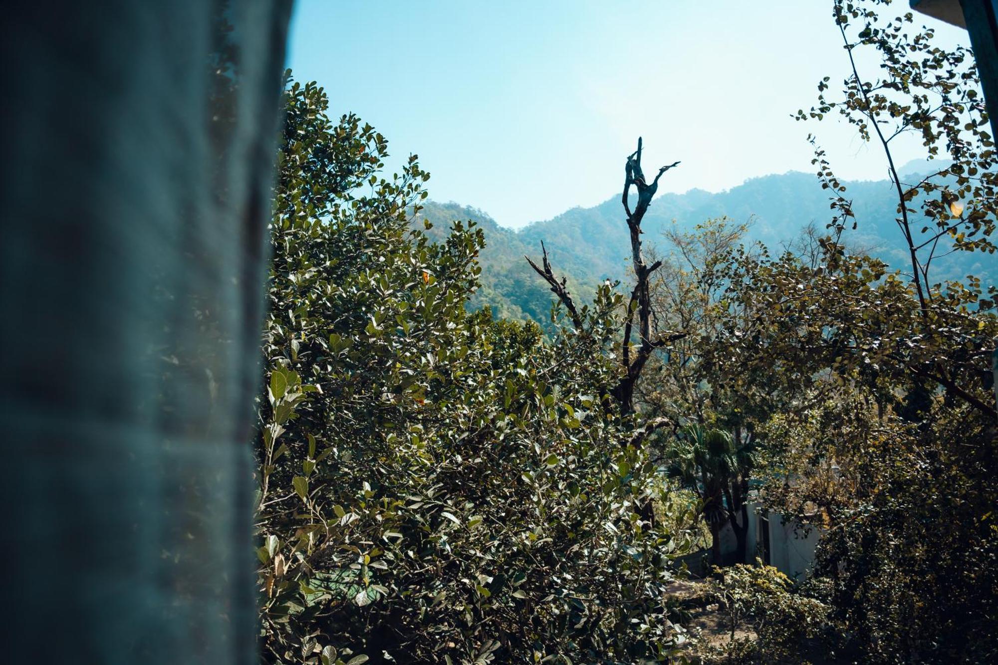 Art Bliss Hostel Rishikesh Exterior photo